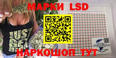 стафф Гай