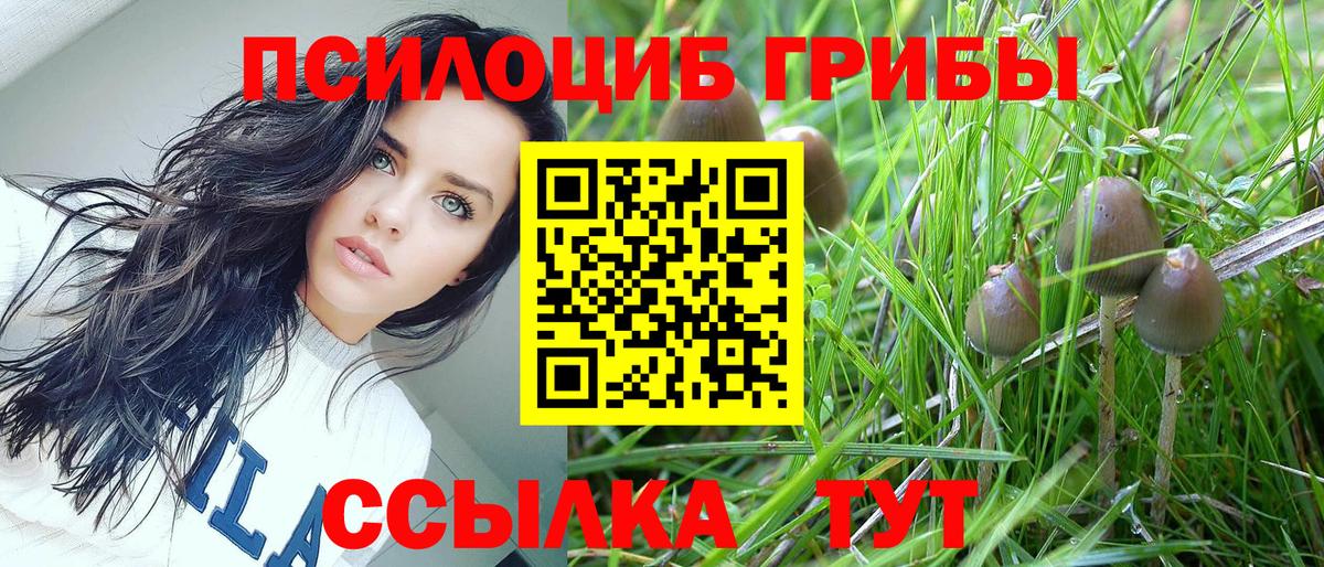 Псилоцибиновые грибы ЛСД  Вход с VPN  купить наркотики сайты  Мариинск 